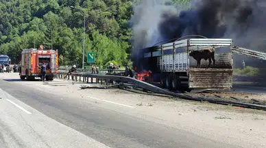 Adana’da Hayvan Yüklü TIR Alev Alev Yandı! Korku Dolu Anlar Kamerada