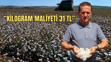 Adana’da Pamuk Hasadı Başladı! Üreticinin Taban Fiyat Beklentisi 35 TL