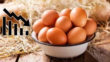 Temmuz’da Yumurta Üretimi Dibe Vurdu