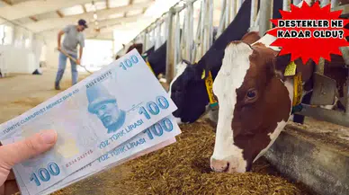 Hayvancılığa Tarihi Destek! İşte 2025’in Yeni Ödeme Kalemleri