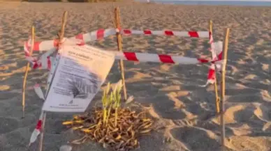 Kum Zambağı İçin Gazipaşa’da Özel Önlem Alındı!