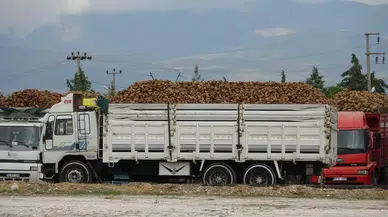 Burdur’da Pancar Sezonu Üreticilere Müjdeyle Başladı
