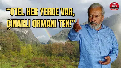 Doğa Harikası Olimpos’ta Binlerce Ağaç Kıyım Tehlikesi Altında!