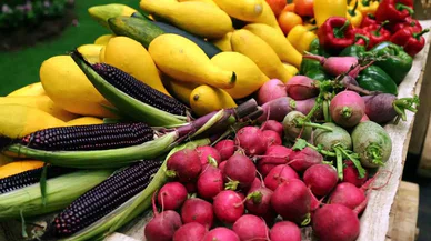 Tarımsal Ürün Fiyatları Artış Trendini Sürdürüyor! TÜİK Açıkladı