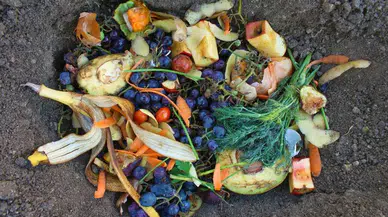 Üretilen Gıdanın Yüzde 19’u İsraf Ediliyor! Sektör Temsilcileri Uyardı