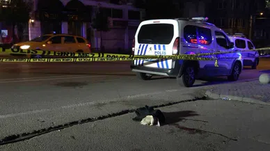 Sokak ortasında saldırıya uğrayan gece kulübü işletmecisi hayatını kaybetti