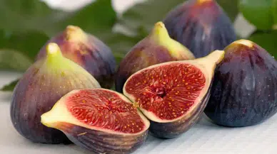 Antalya’da Lezzetli Bir Festival Başlıyor