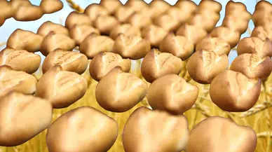 Ucuza Ekmek Hayal Oldu! TÜİK Açıkladı