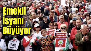 Emekliler Bütçe Hakkı İçin Meydana İnecek