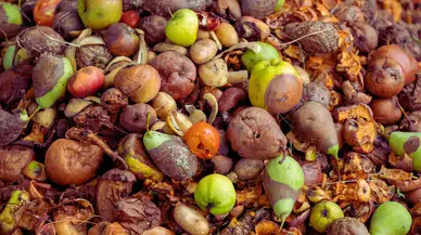 Türkiye’nin ‘Gıda İsrafı’ Karnesi Çok Acı