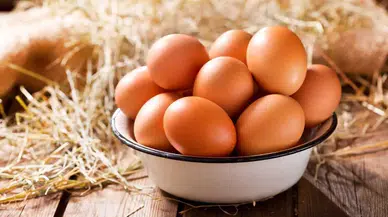 Yumurta Üretiminde Sert Düşüş Sürüyor! Kriz Kapıda mı?