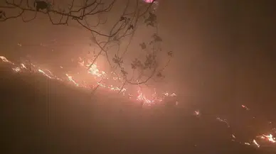 Hatay’da 16 Saat Süren Orman Yangını Kontrol Altında!