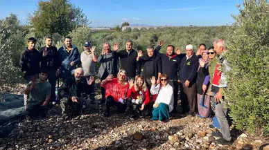 Serik’te Zeytin Hasadı Başladı: Üreticiler Hasattan Umutlu!