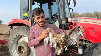 Adana’da Duygulandıran Anlar: Çiftçi Hasadı Bırakıp Yaralı Şahine Koştu!