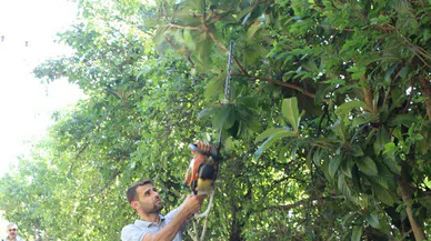 Büyükşehir ekipleri Çıralı’da temizlik çalışması yaptı
