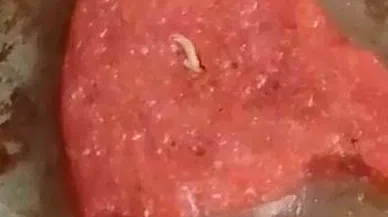 Marketten aldığı sucuğun için bakın ne çıktı...Gündem olan videoyu görenler gözlerine inanamadı...