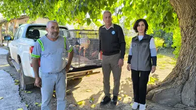 Hatay’da Kümeste Yaşayan Yaralı Leylek İçin Ekipler Harekete Geçti!