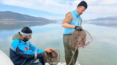 Eğirdir Gölü’nde Kaçak Kerevit Avı Operasyonu!