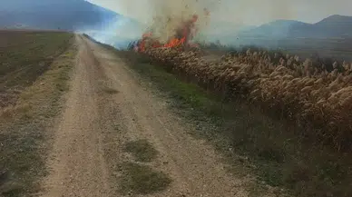 Bucak’ta Korku Dolu Anlar: Sazlık Alan Alev Alev Yandı!