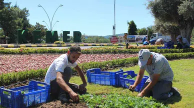 “Teslim olmayacağız”