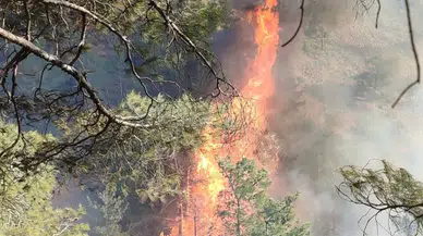 Hatay Belen’de Orman Yangını Paniği! Ekipler Seferber Oldu