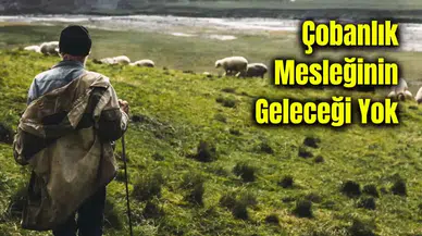 Antalya'da Üretici ‘Yayla Kalmadı’ Diye Feryat Ediyor