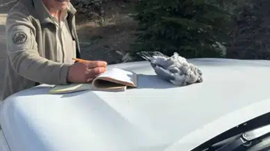 Burdur’da Yaban Hayatına Büyük Darbe! Kaçak Avcılara Suçüstü