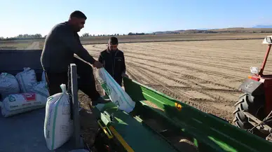 Adana’da Buğday Tohumları Toprakla Buluştu: Çiftçinin Gözü Yağmurda!