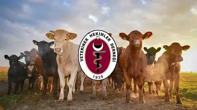 Veteriner Hekimler Derneği’nden 1,4 Milyar Dolarlık İthalat Tepkisi!