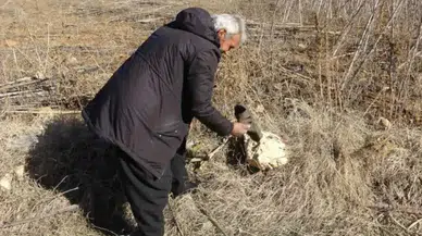Mersin’de Çorapla Market Alışverişi Yaptı: Açıklaması Yürekleri Isıttı!