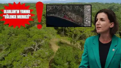 Manavgat’ta Sorgun Ormanı İhaleye Açıldı!