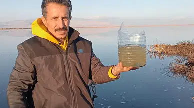 Eber Gölü Alarm Veriyor: Zehir Akıyor, Canlı Kalmadı