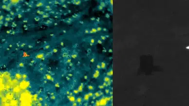 Adana'da Gece Boyu Arandı: Kayıp Vatandaşa Termal Müdahale!