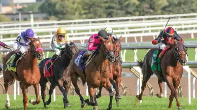 At Yarışında TJK Dönemi Sonra Erdi! 1 Milyon Sermayeli Şirket Yetkiyi Aldı