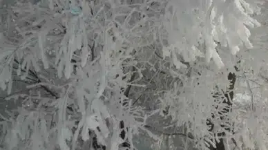 Adana’da Sibirya Soğukları: Eksi 28 Dereceyle Rekor Gece!