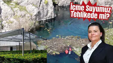 Antalya’da Muz Serası Tartışmasına Ziraat Mühendisleri Odası’ndan Açıklama