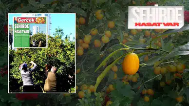 Antalya’nın Gizli Bahçesinde Hasat Başladı