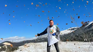 Elmalı’da Beyaz Bereket, Sedir Tohumları Toprakla Buluştu