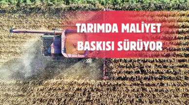 Çiftçinin Enflasyonu Tüketiciyi Solladı! TÜİK Açıkladı