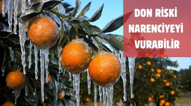 Meteoroloji Uyardı: Adana’da Zirai Don Alarmı!