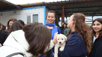 Aksu Belediyesi’nden Sokak Hayvanlarına Destek