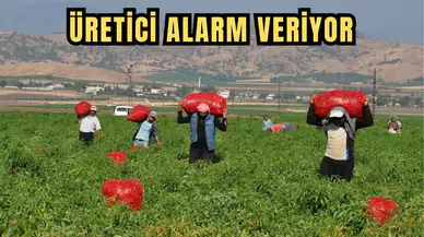 ATB Başkanı Ali Çandır: 'Tarımda Maliyetler Rekor Kırdı'