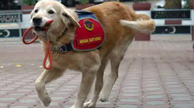 JAK Köpeğinden Hayata Dokunan Görev