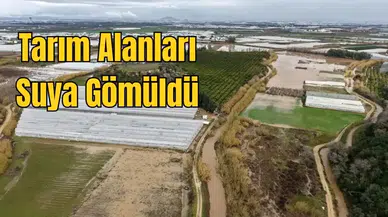 Antalya'da Tarım Çamura Gömüldü: Soğucaksu Deresi Taştı