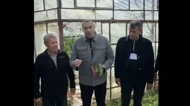 Antalya Aksu’da Dolu Seraları Vurdu: Aykut Kaya’dan TARSİM Çağrısı