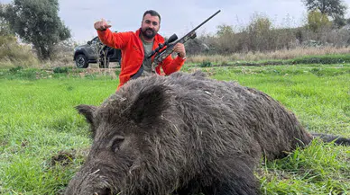 Antalya Serik'te 22 Yaban Domuzu Vuruldu