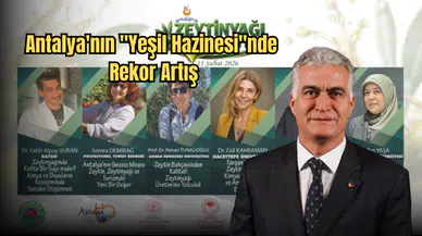 Antalya’nın Zeytinlik Alanında 20 Yıllık Büyük Artış