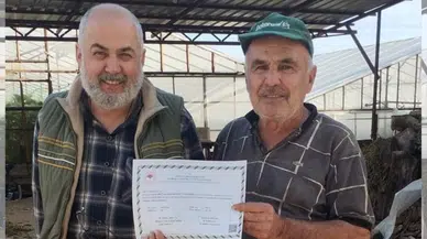 Gazipaşa'da Sofraya Gelen Ürün "Tescillendi": Kalıntı Yok, Sertifika Var