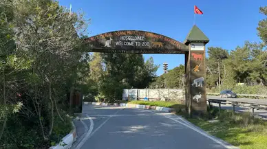 Antalya Doğal Yaşam Parkı Fırtına Nedeniyle Kapandı