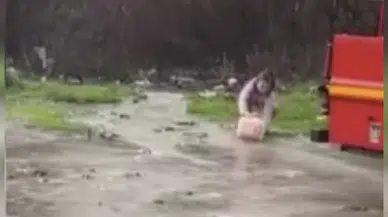 Bodrum’da sağanak sonrası şaşırtan görüntü! Asfalta balık yağdı!